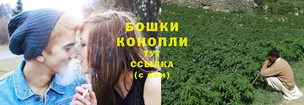 гидра Билибино
