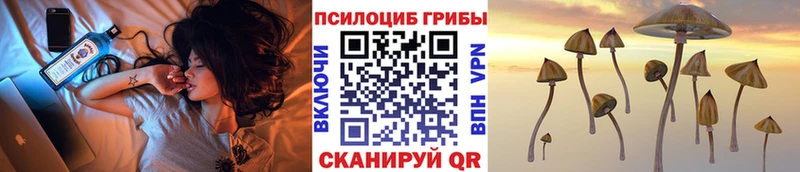 Псилоцибиновые грибы Psilocybe  купить наркоту  Гагарин 