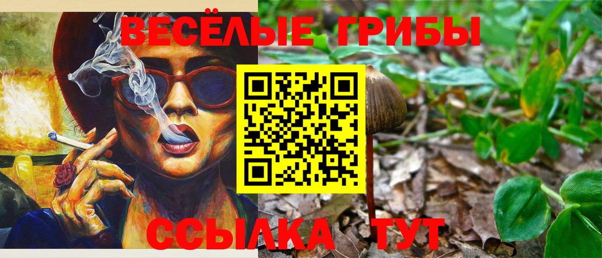 Псилоцибиновые грибы Psilocybe Гагарин
