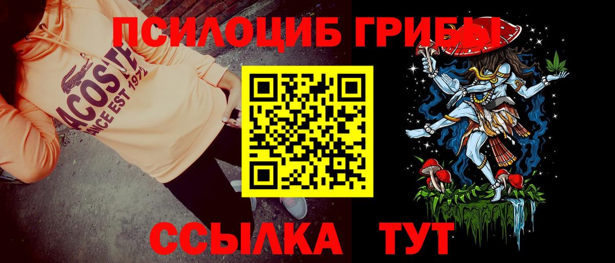 Псилоцибиновые грибы Psilocybine cubensis  Вход с VPN  Галлюциногенные грибы MAGIC MUSHROOMS  Гагарин 