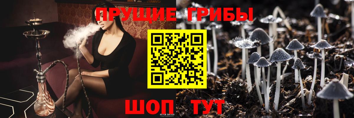 Галлюциногенные грибы прущие грибы Гагарин